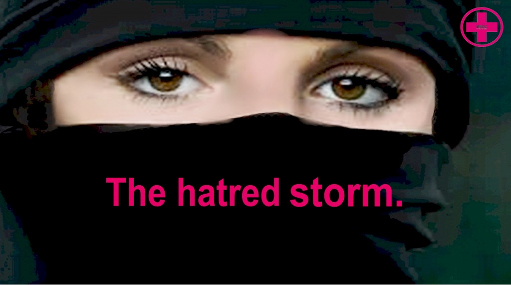 The-Hatred-Storm-niquap