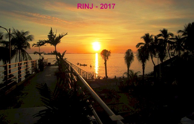 RINJ - Can we seek New beginnings in 2017